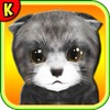 Homeless Cat : take care this virtual pet icon