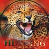 Wild Animal Hunting icon