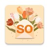 SOCOLOR icon