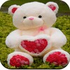 Cute Teddy Bear wallpaper icon