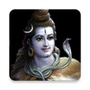 Icona di 4D Shiva