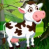 Cow Caring icon