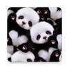 Panda Cartoon Wallpaper icon