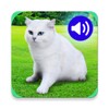 Animal Ringtones & wallpapers icon