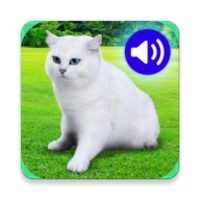 Animal Ringtones & wallpapers for Android - Download the APK from Uptodown