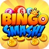Bingo Smash Lucky Bingo Travel icon