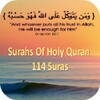 Surah Quran icon