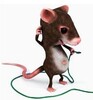 Икона FunMouse