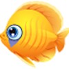 Fish Adventure icon