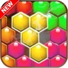 Hexa Puzzle icon