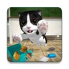 Cat Simulator icon