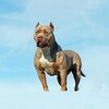 Pitbull Dog Simulator icon