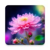 Icono de pink flower wallpaper