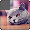 Jigsaw Puzzle: Cute Animals icon