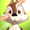 Design My Talking Squirrel icon