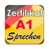 Zertifikat A1 Sprechen icon