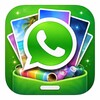 WhatsApp Wallpaper icon