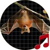 Bat Sounds icon