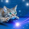 Ícone de Cat Laser