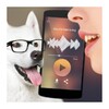 Dog Voice Translator icon