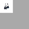 Panda Network icon