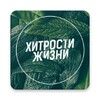 Хитрости Жизни icon