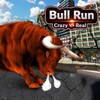 Crazy vs real bull run icon