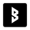 Bolid - Car Check icon