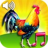 Funny alarm clock ringtones icon