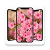 Spring Wallpaper icon