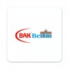 BAK Berlin icon