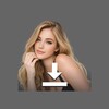 Green Downloader icon
