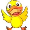 Duck Game icon