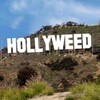 Hollywood Sign Generator icon