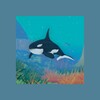 Icona di Wild Animals VR Kid Game