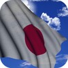 Japan Flag icon