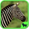 Animals Puzzle Zoo free - games for all ages icon