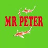 Mr Peter icon