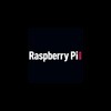Raspberry Pi Geek icon