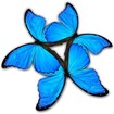 HyperImage feature