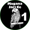 Magana Jari Ce 1 (Littafi Na Farko) icon