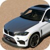 Drive BMW X6 icon