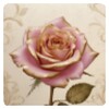 Icono de Pink_And_Gold_Rose_Wallpaper