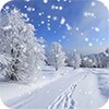 冬季雪景 icon