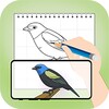 AR Draw Sketch: Trace & Sketch icon