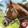 Arabic Horse Run: Horse Race - Horse Racing Game icon