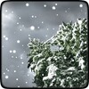 Winter Snowfall FREE icon