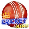 Cricket King icon