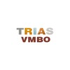 Icono de Trias VMBO