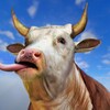 Scary Cow Simulator Rampage icon